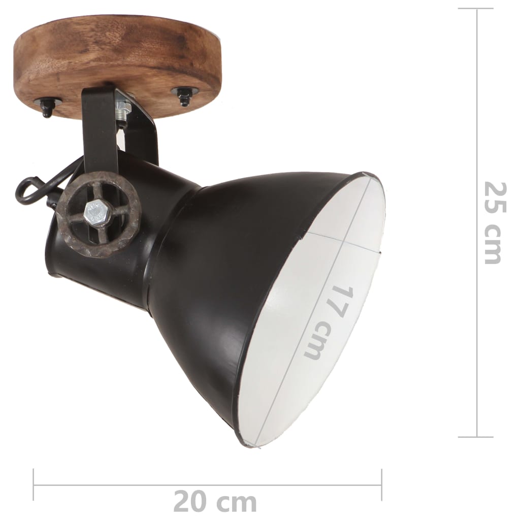 Industrial wall/ceiling lamps, 2 pcs., black, 20x25 cm, E27